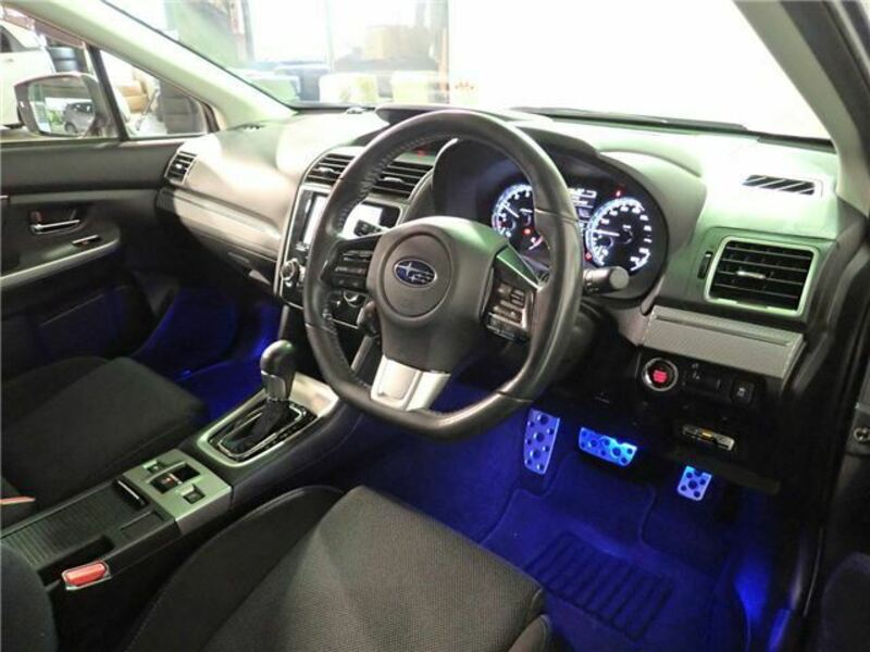 LEVORG