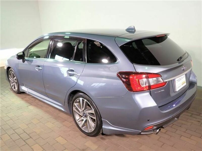 LEVORG