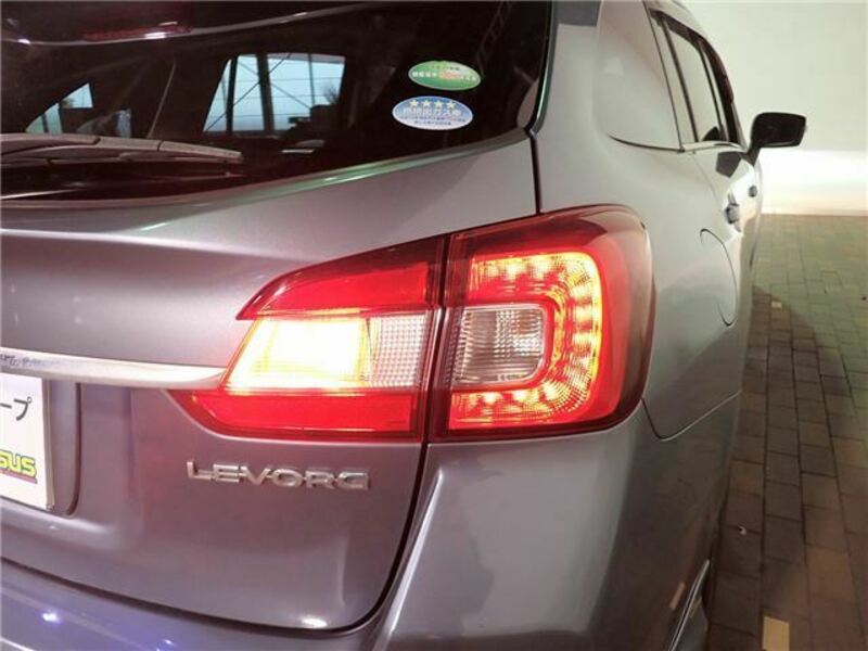 LEVORG
