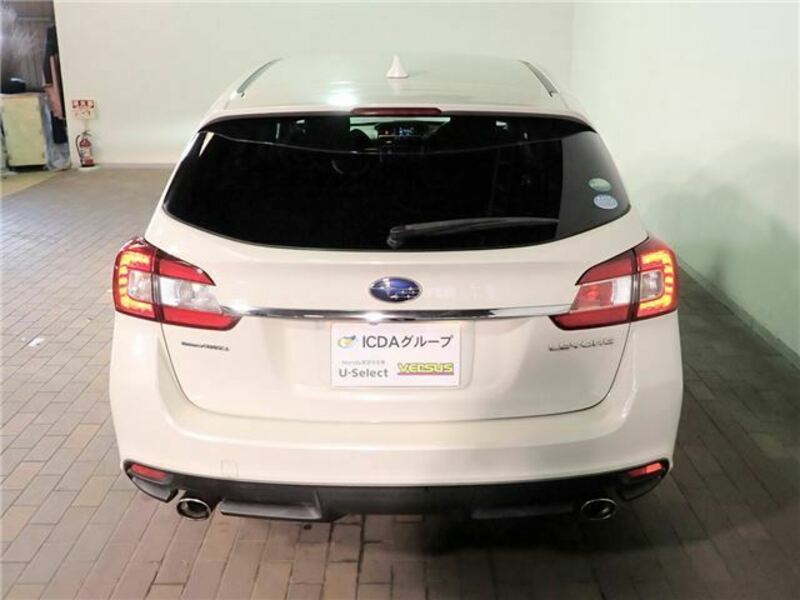 LEVORG