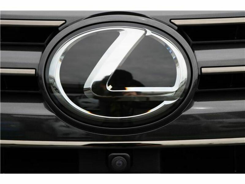 LX