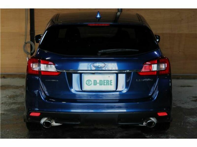 LEVORG
