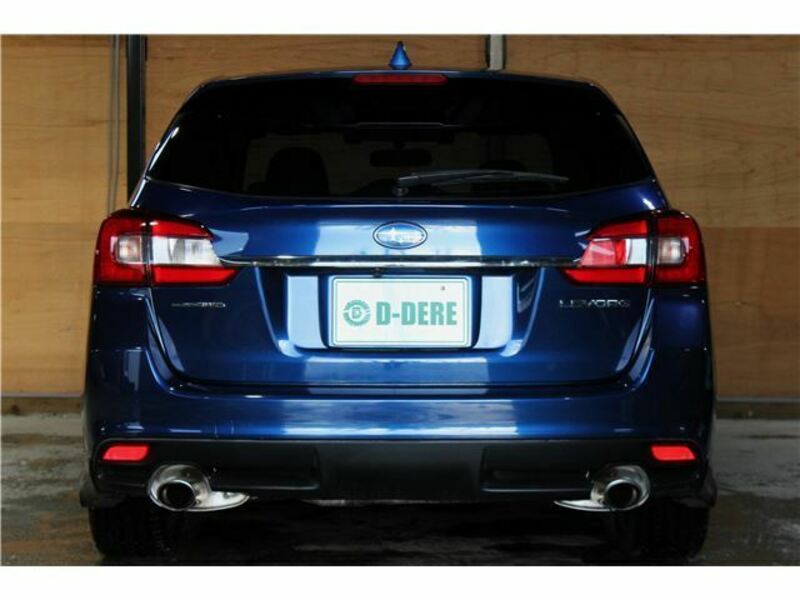 LEVORG