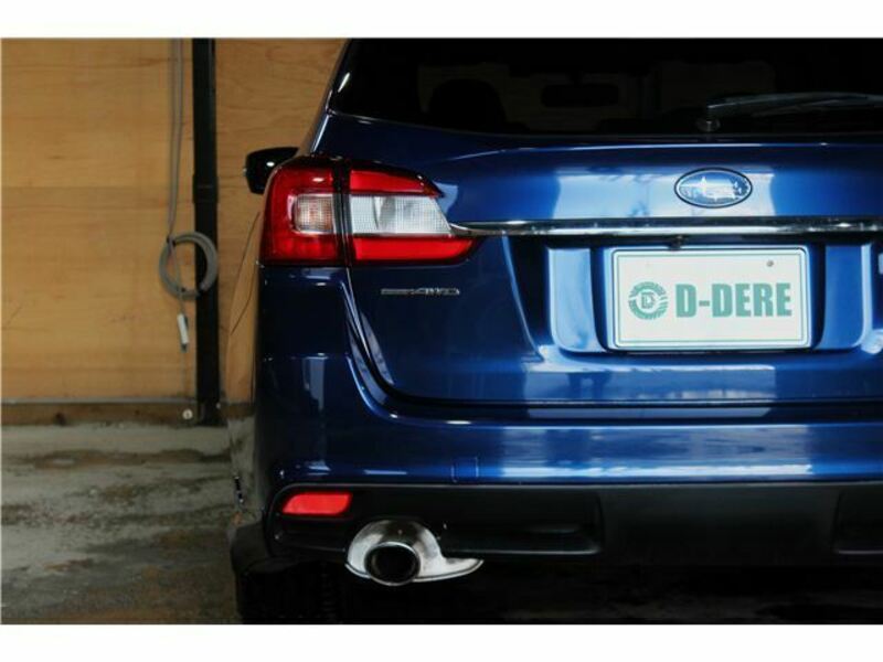 LEVORG