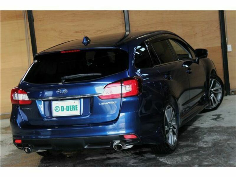 LEVORG