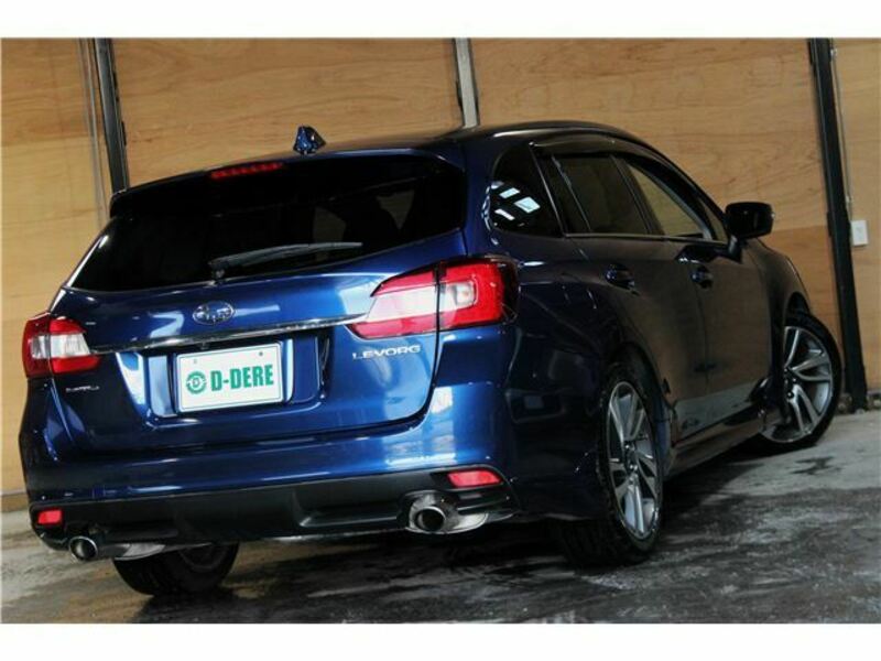LEVORG