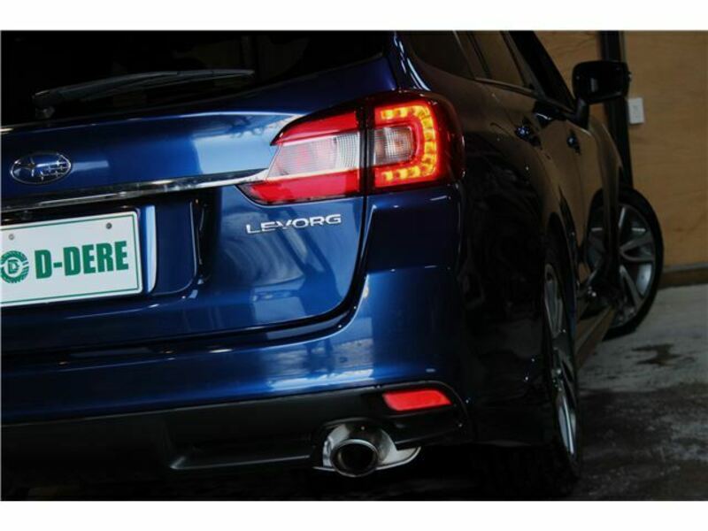 LEVORG