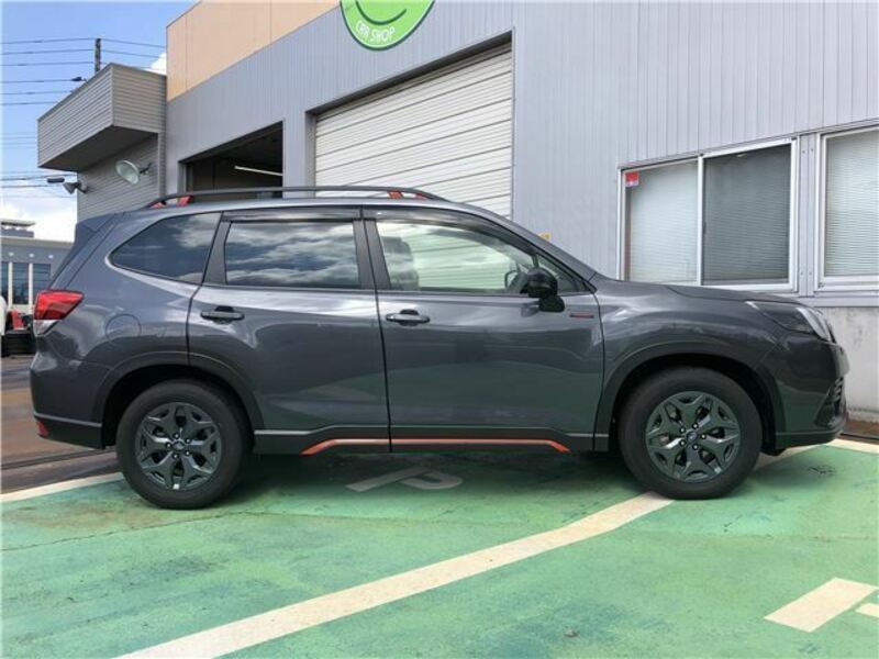 FORESTER