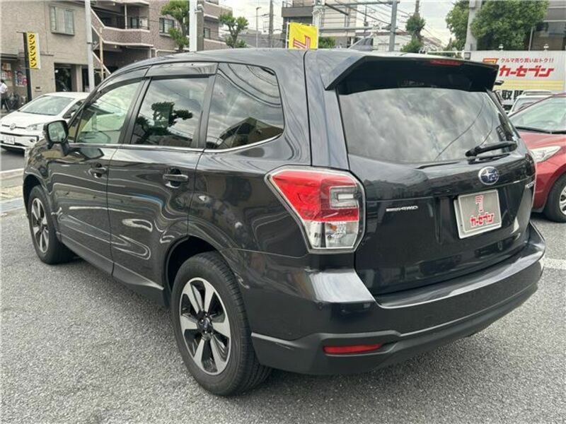 FORESTER