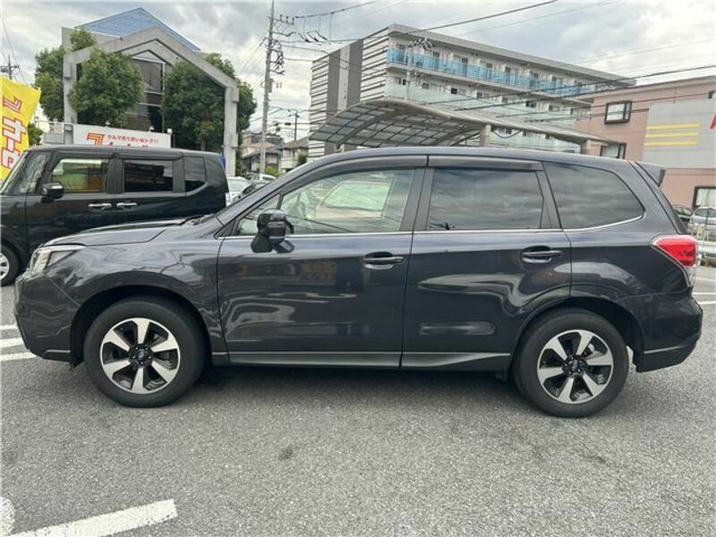 FORESTER