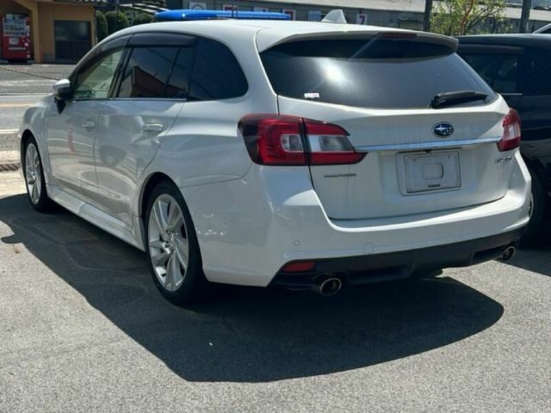 LEVORG