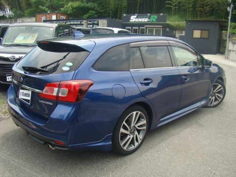 LEVORG