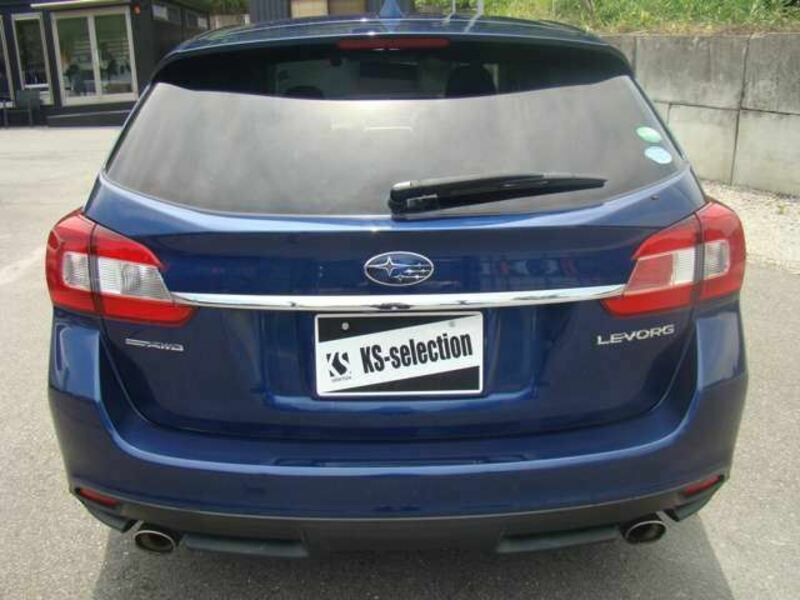 LEVORG