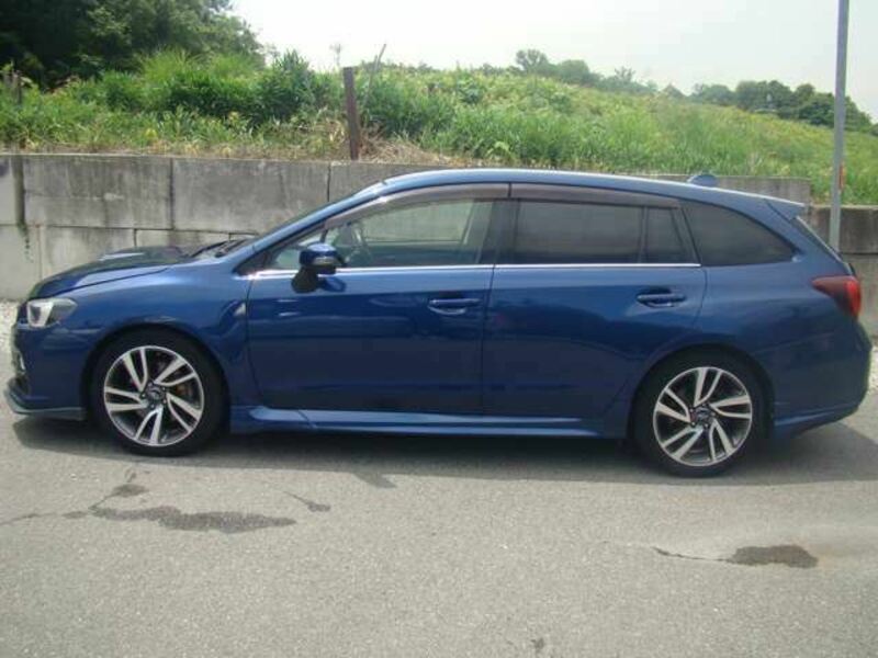 LEVORG