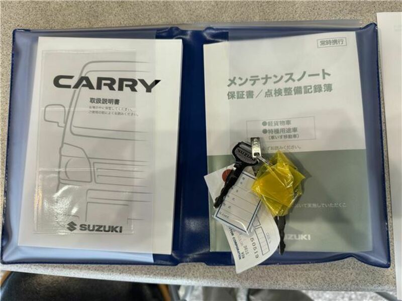 CARRY TRUCK