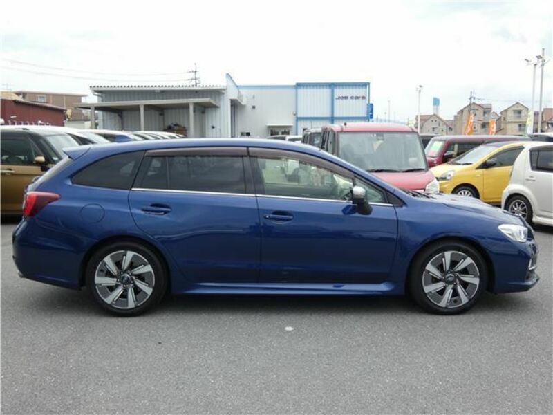 LEVORG