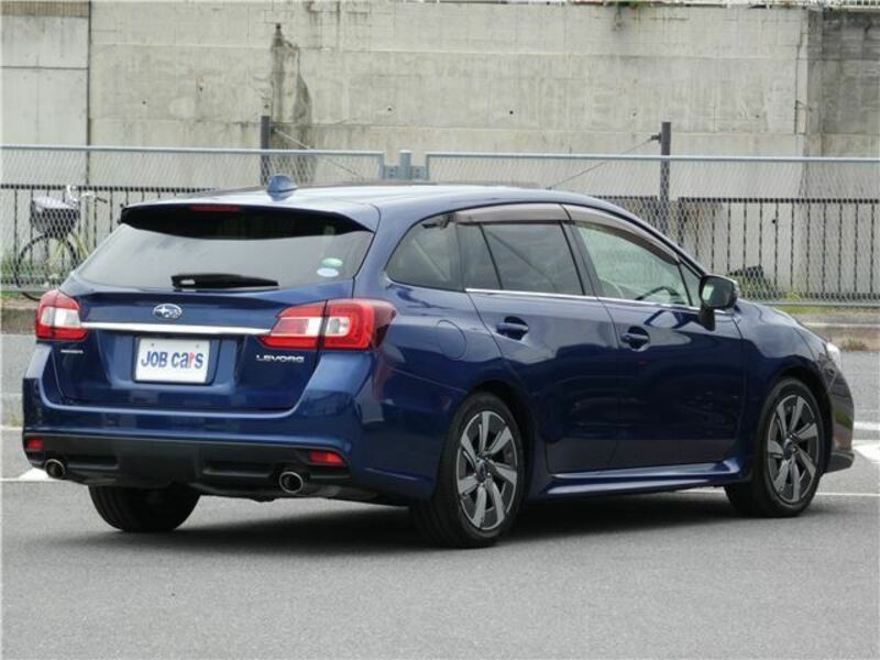 LEVORG