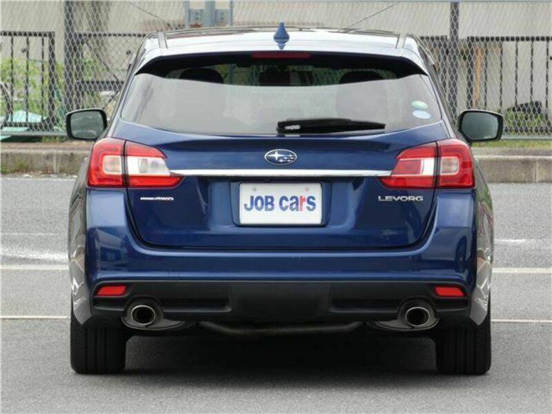 LEVORG