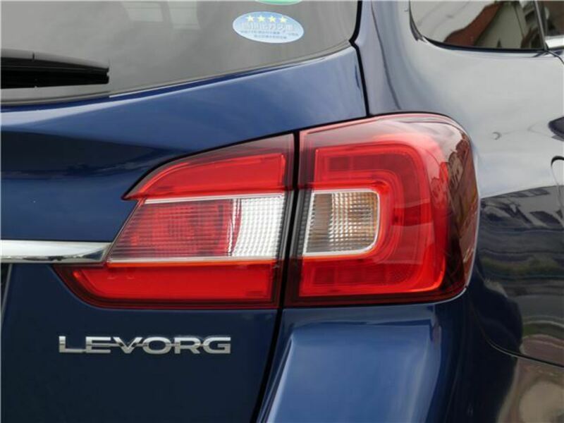 LEVORG