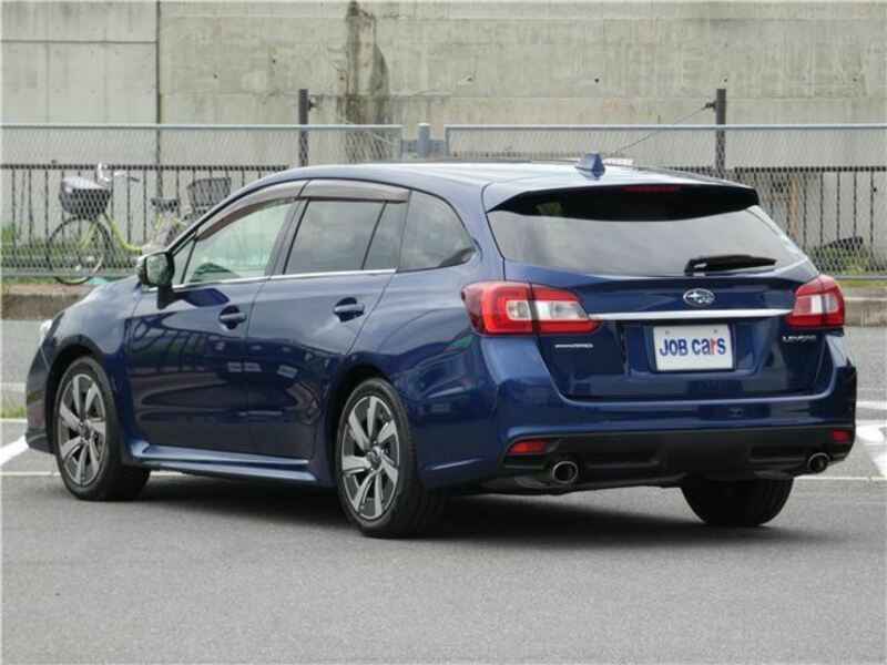 LEVORG