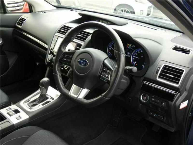 LEVORG