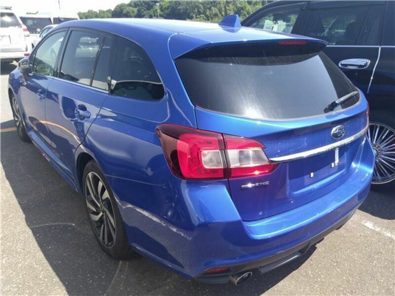 LEVORG