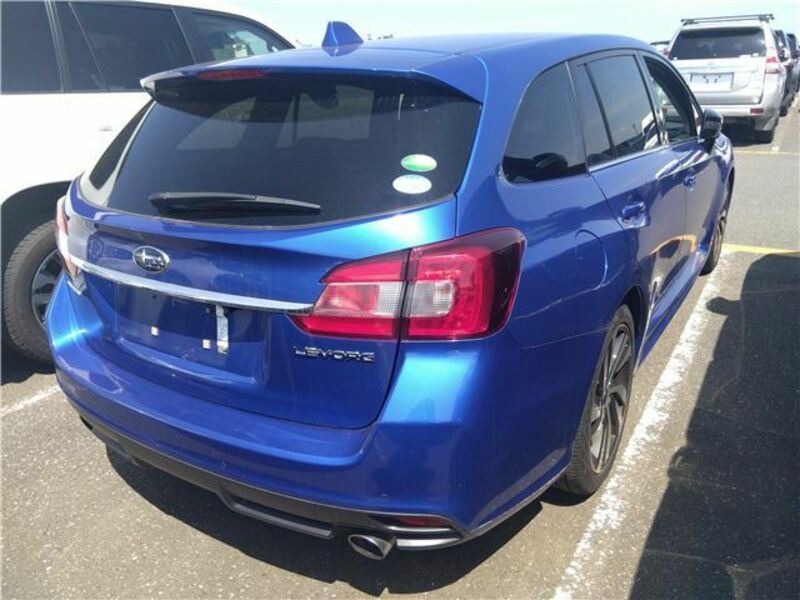 LEVORG