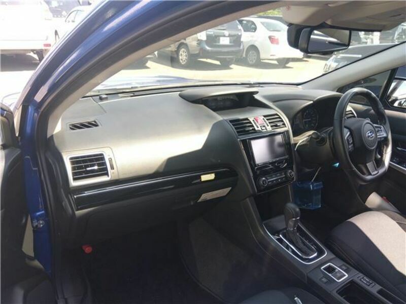LEVORG