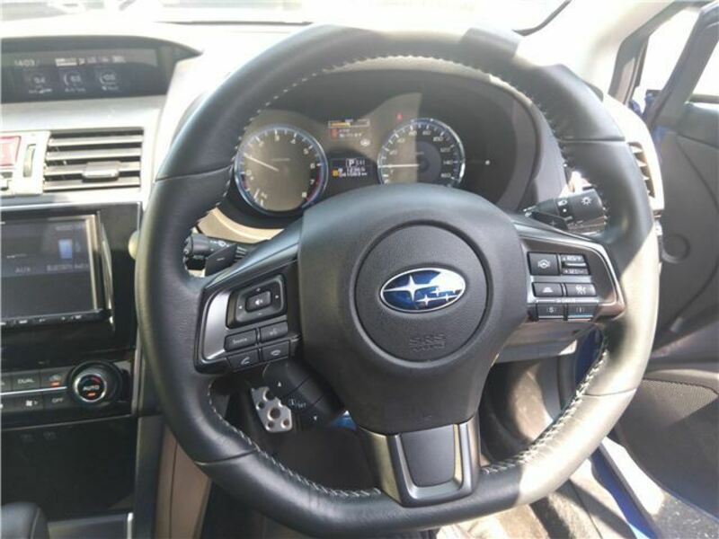 LEVORG