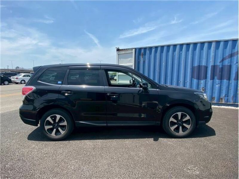 FORESTER