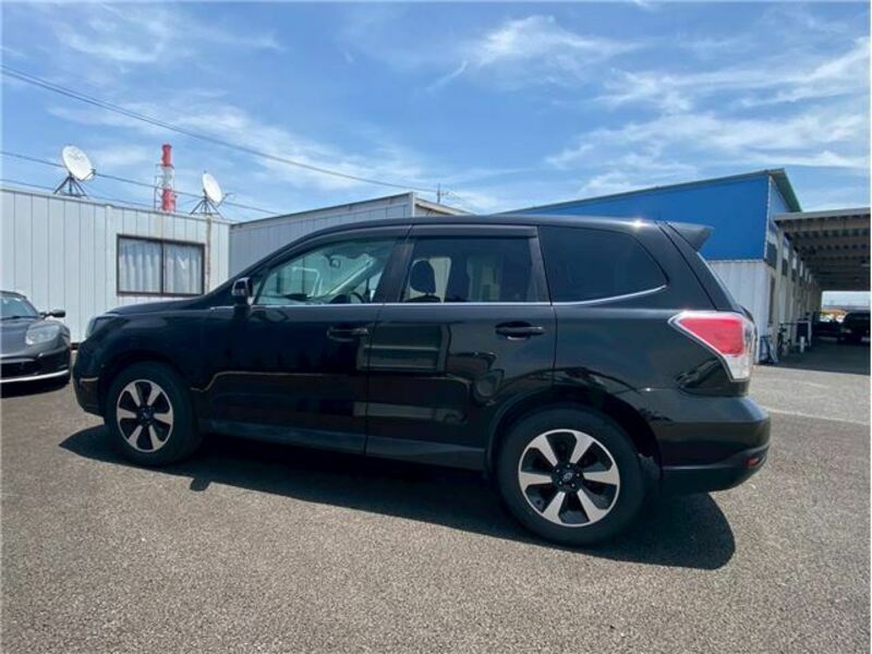 FORESTER