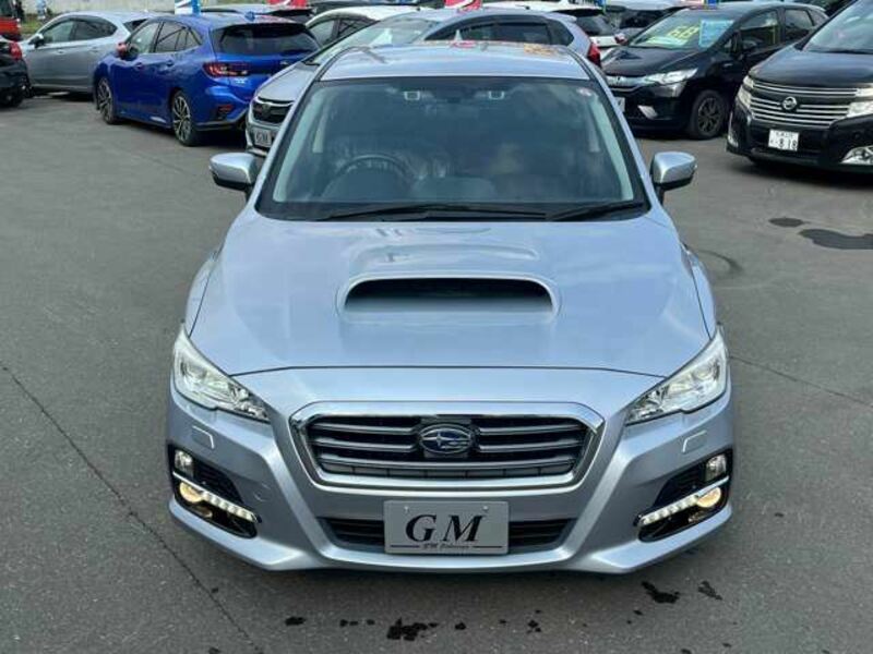 LEVORG