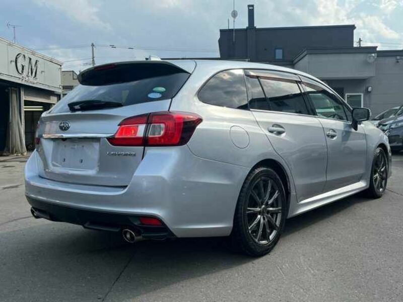 LEVORG