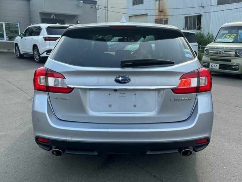 LEVORG