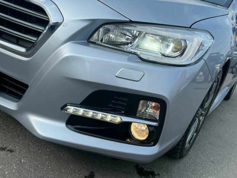 LEVORG