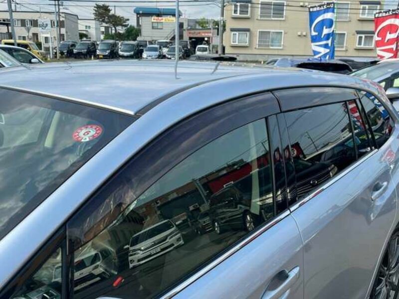 LEVORG