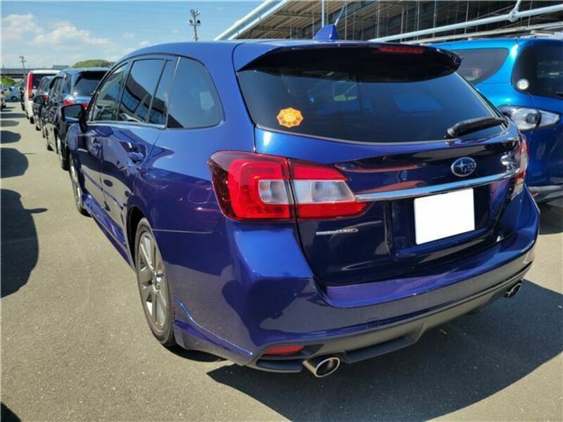LEVORG