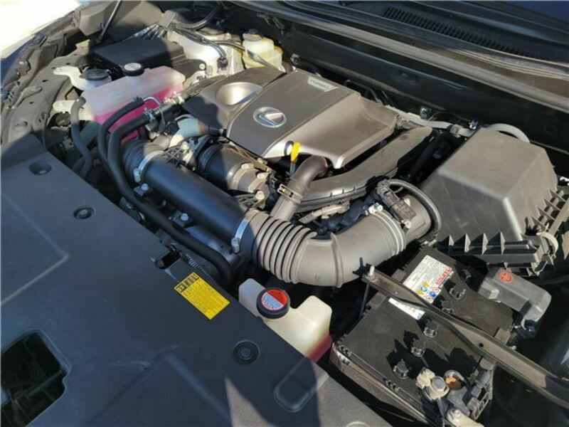 NX