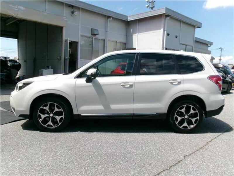 FORESTER