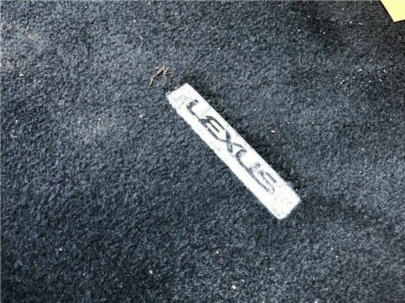 GS