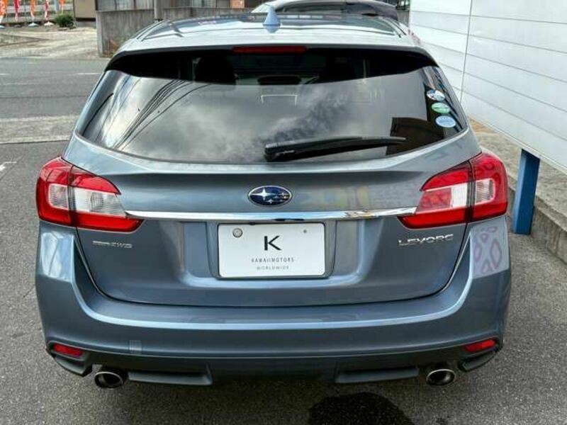 LEVORG