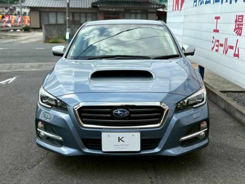LEVORG