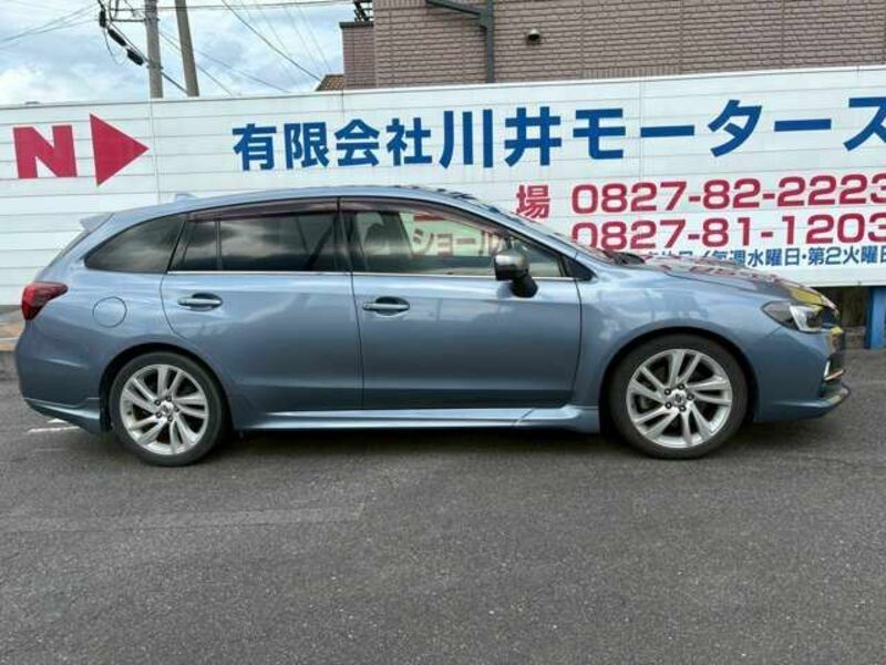 LEVORG