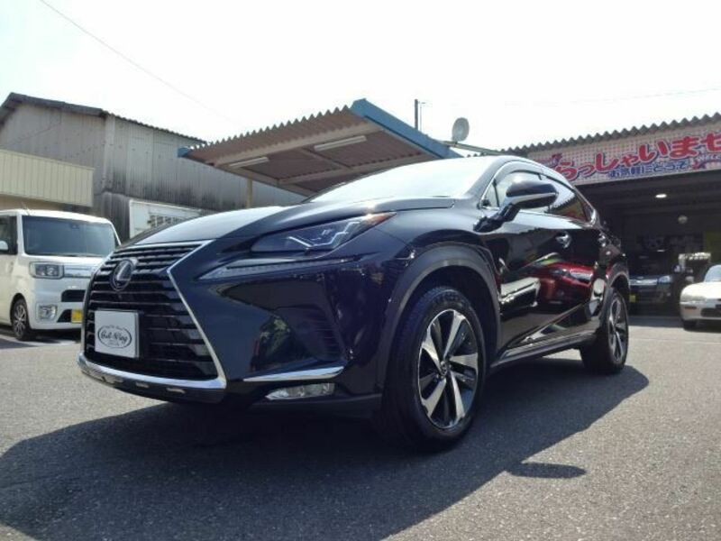 NX