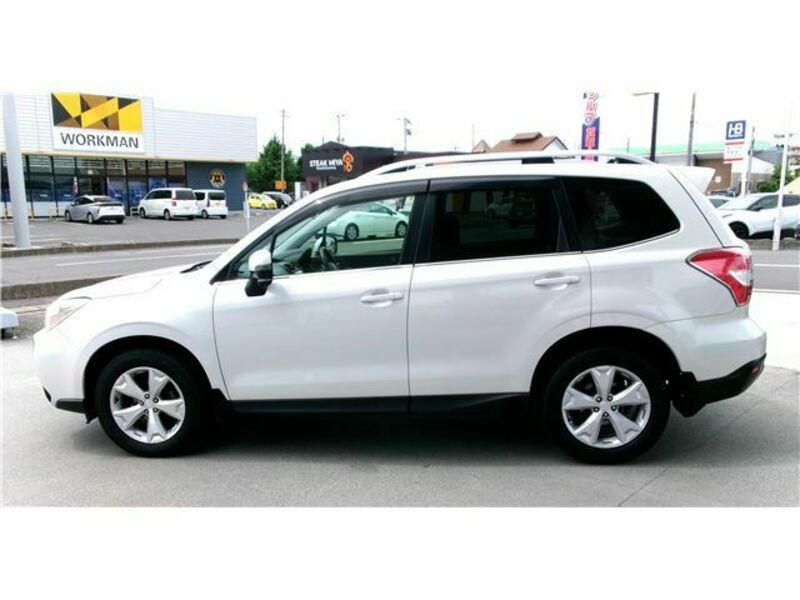 FORESTER