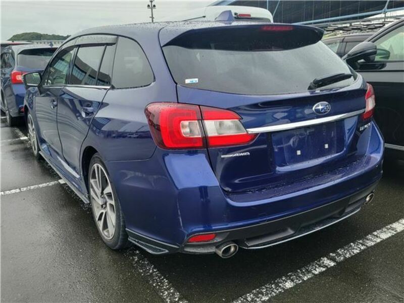 LEVORG