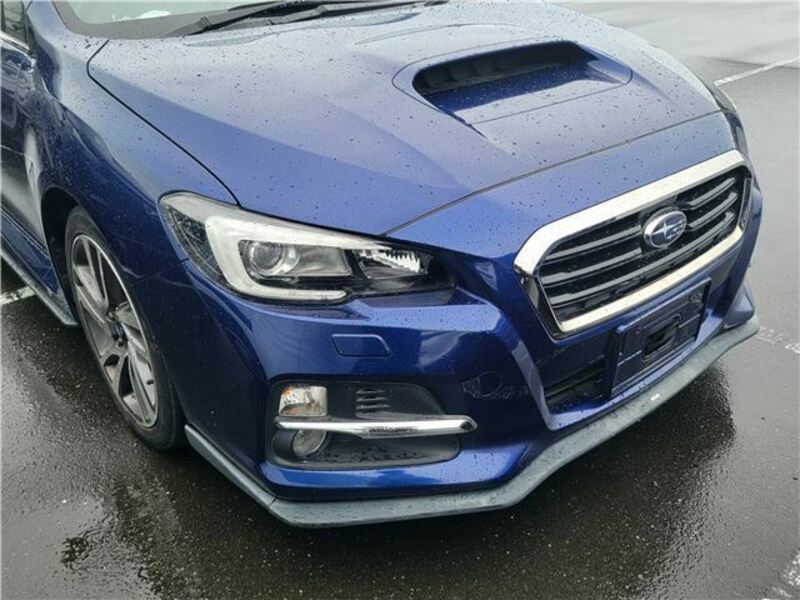 LEVORG