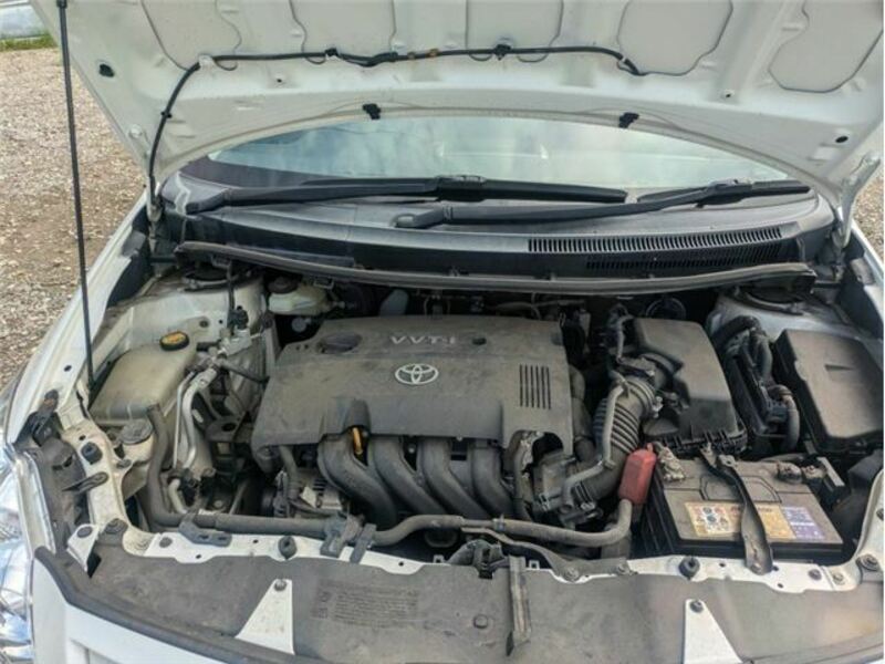 AURIS