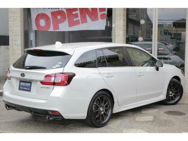 LEVORG-12