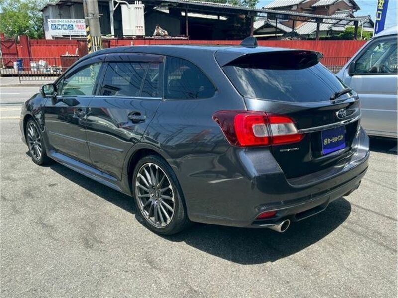LEVORG
